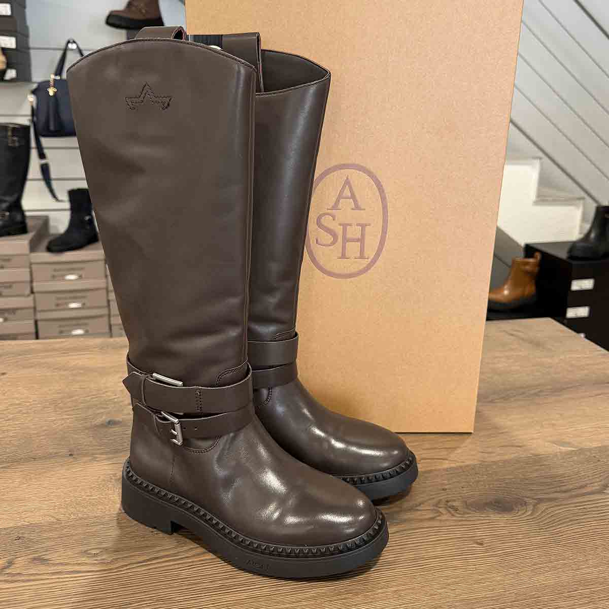 Stiefel in Schlammfarbe von ASH