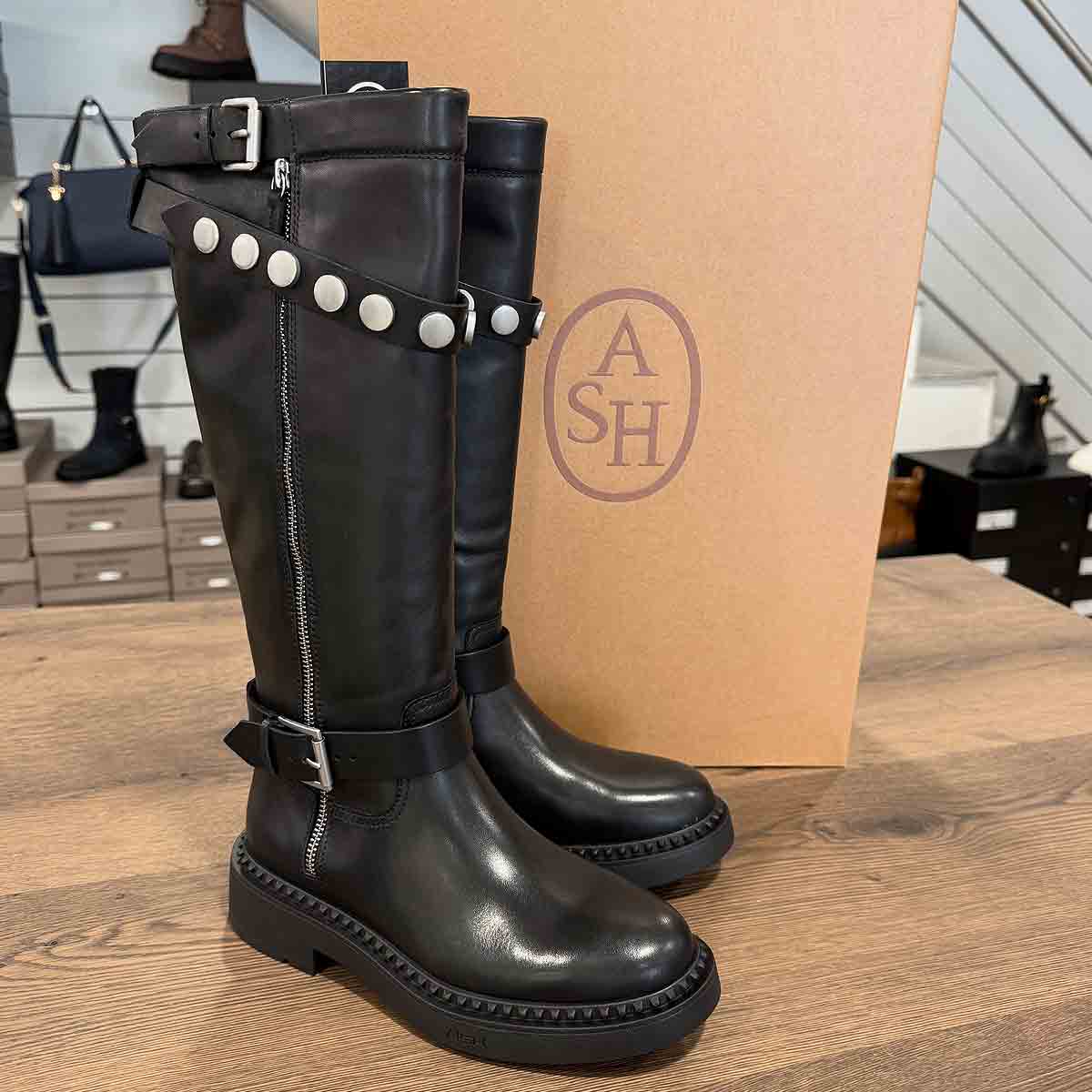 Stiefel in Schwarz von ASH